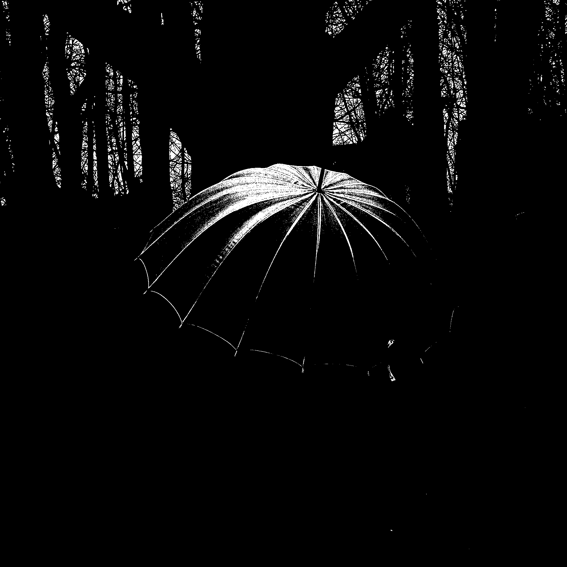 umbrella